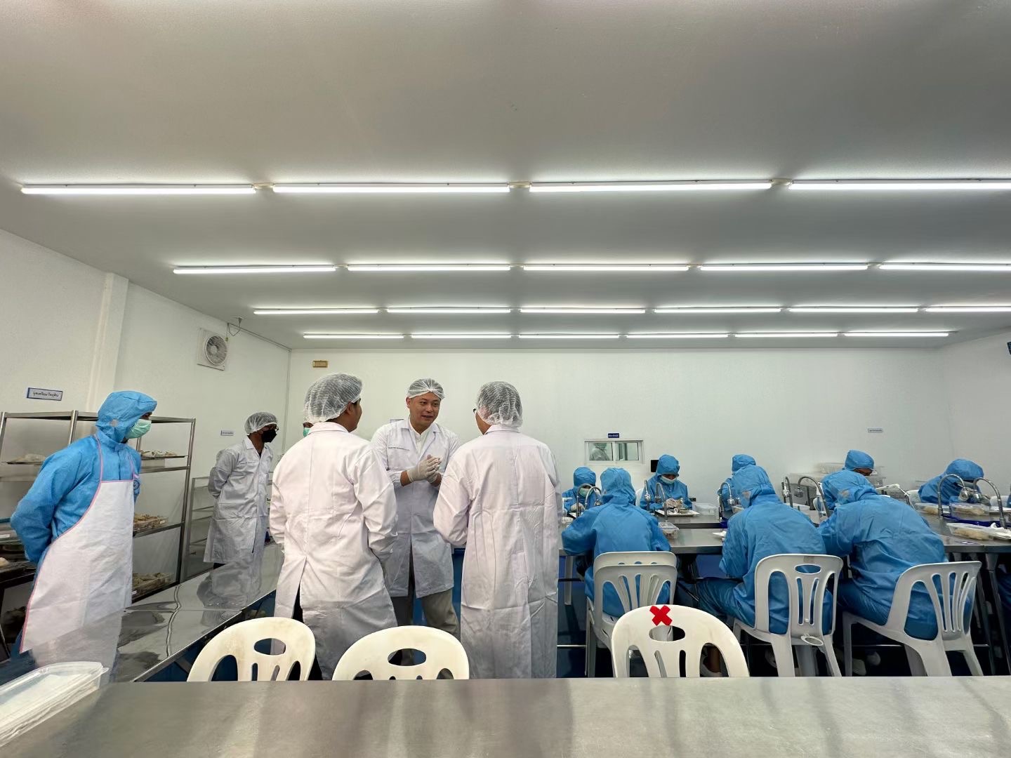 〖燕窝〗干燕窝有燕窝腥味或霉味就是假的或品质差的? 〖燕窝〗干燕窝有燕窝腥味或霉味就是假的或品质差的?