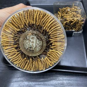 S1西藏野生冬虫夏4条一克 - 图片 3