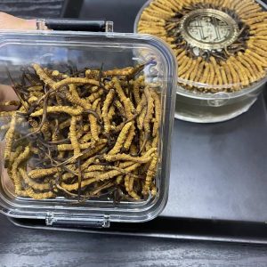 S1西藏野生冬虫夏4条一克 - 图片 4